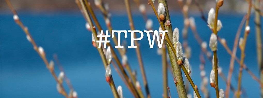 TPW